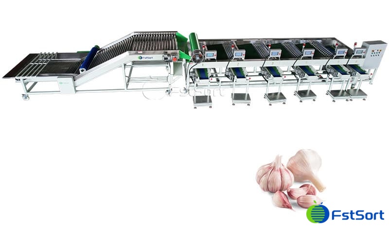 images/1679901345202garlic sorting machine.jpg